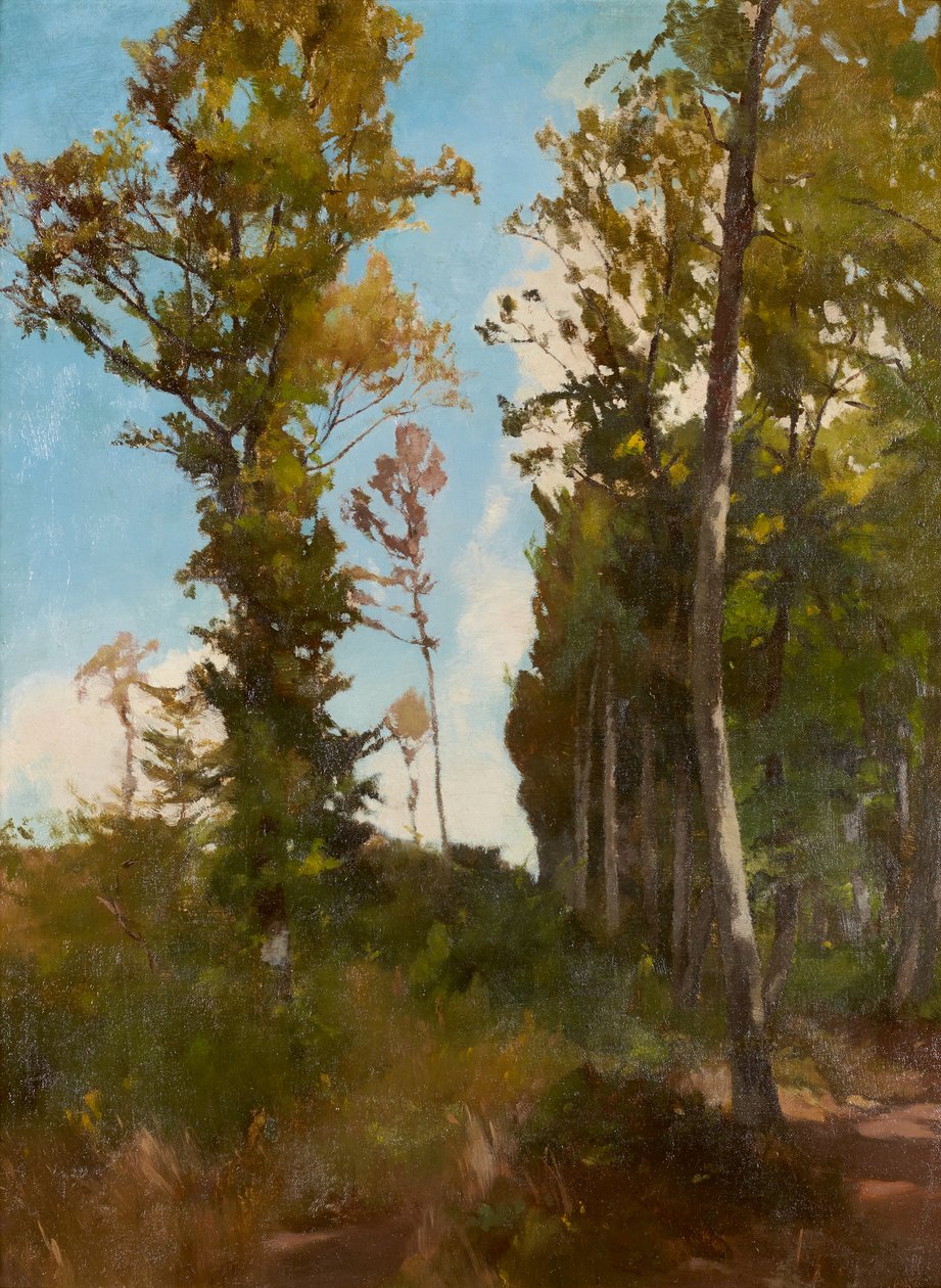 Limpeza perto de Purkersdorf de Carl Schuch
