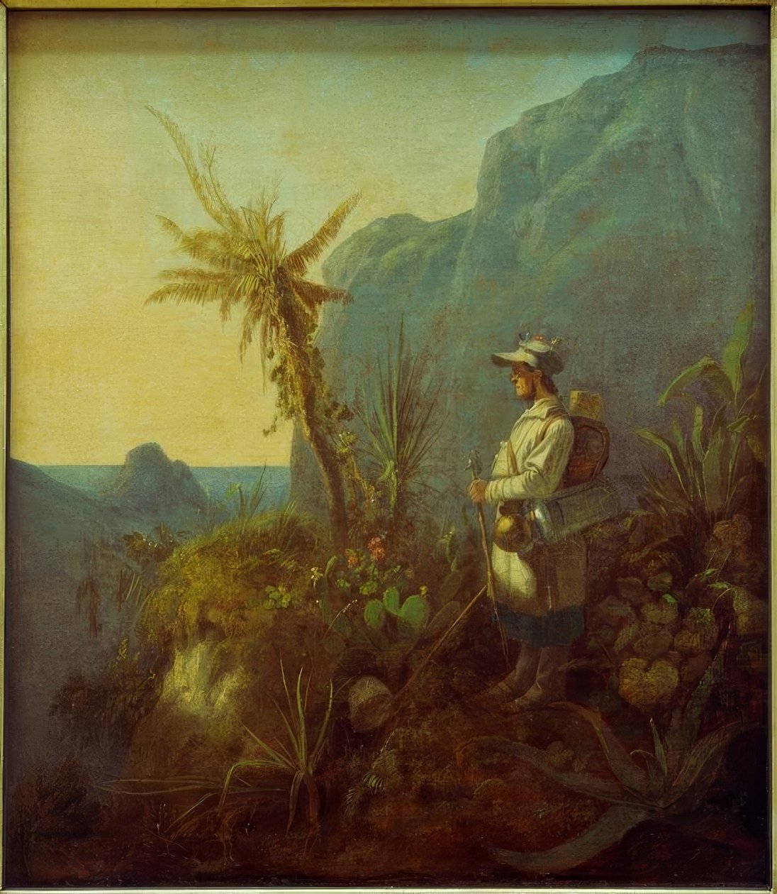 O naturalista nos trópicos de Carl Spitzweg