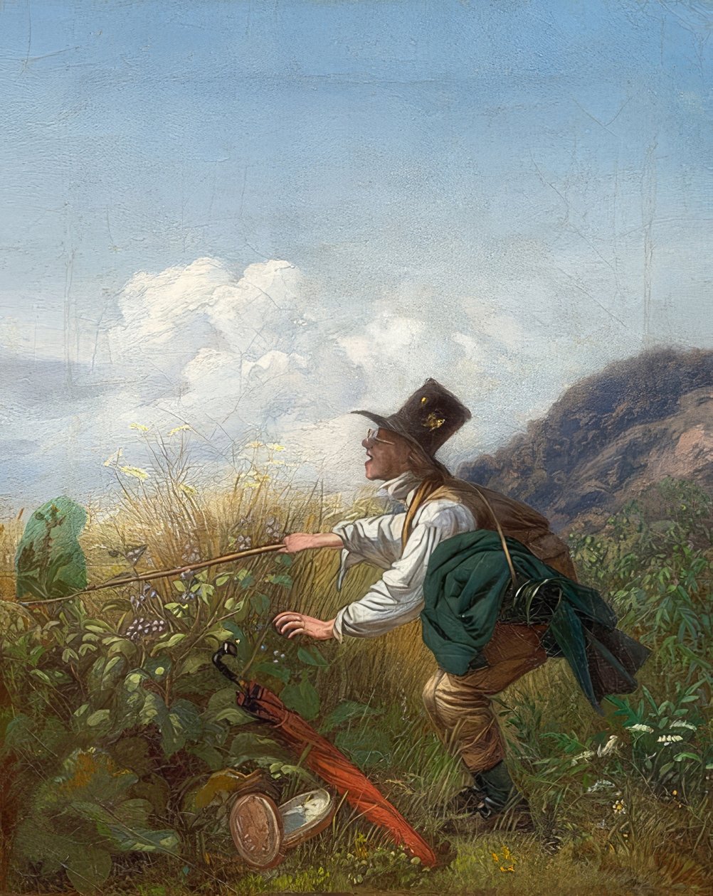 O apanhador de borboletas (botânico). Por volta de 1837 de Carl Spitzweg