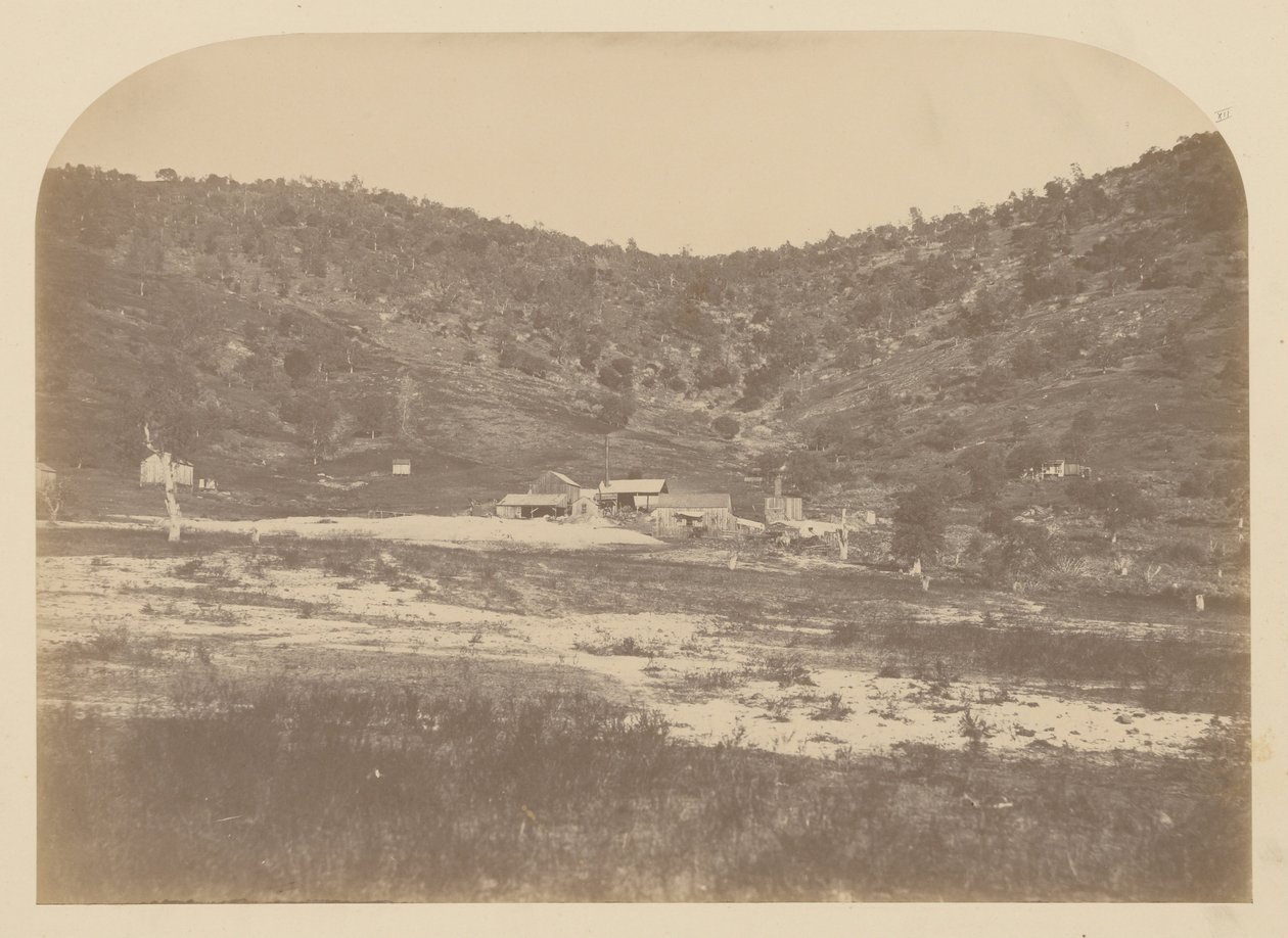 (Bear Valley Mill) de Carleton E. Watkins
