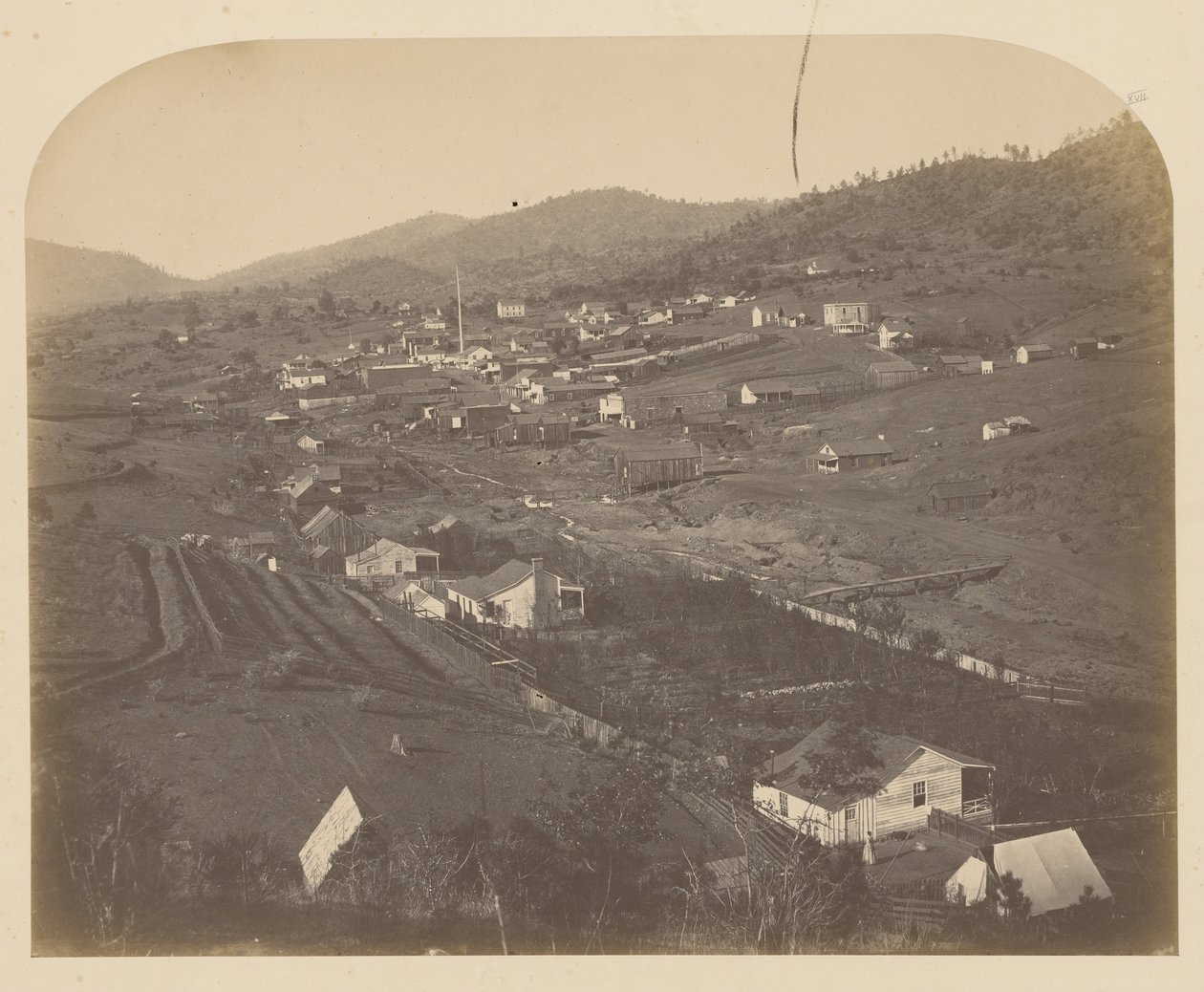 (Borboleta de Carleton E. Watkins