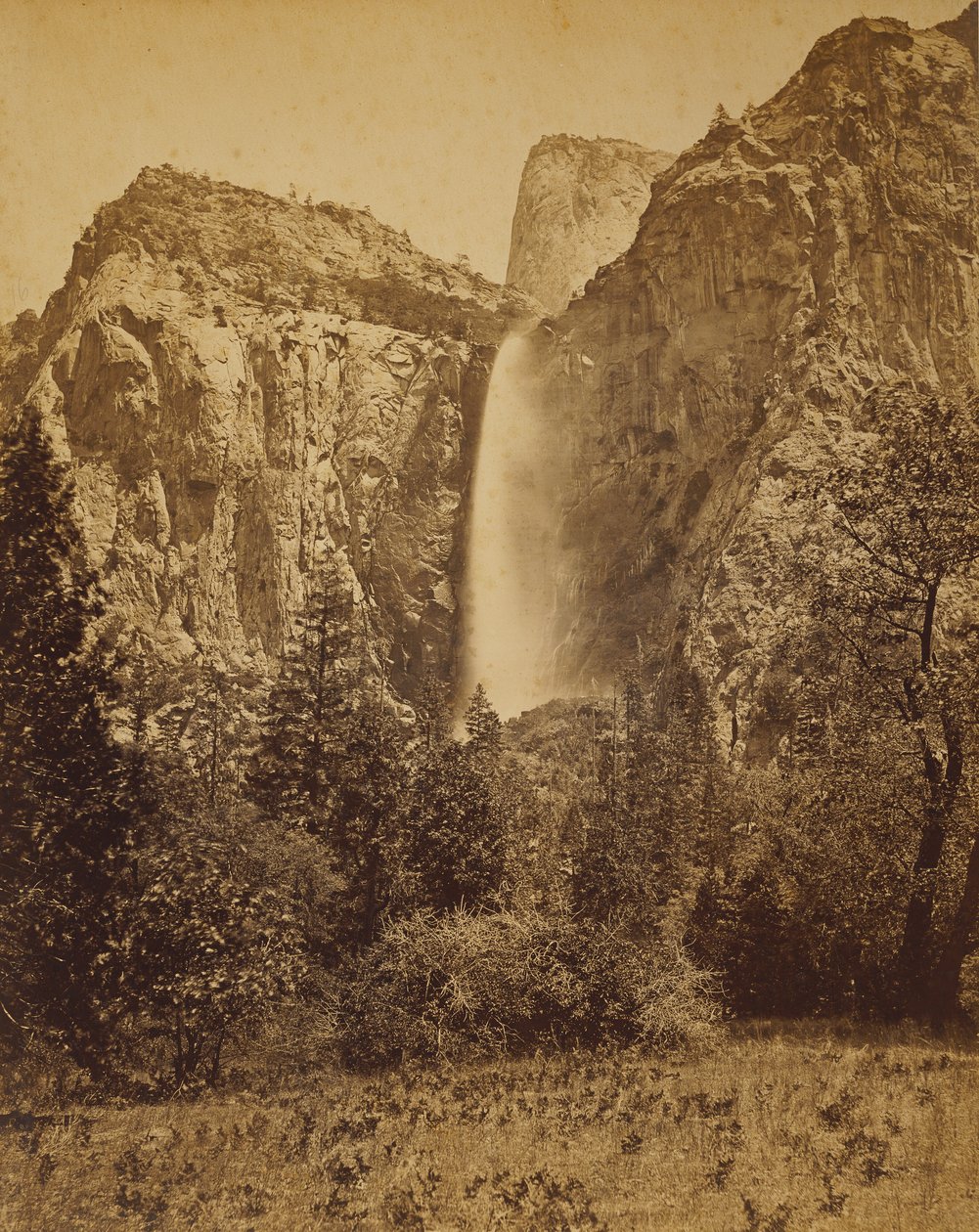 [Véu de noiva] de Carleton Watkins