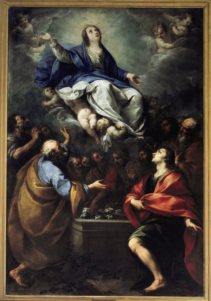 Assunção de Maria. (óleo sobre tela de Carlo Francesco Nuvolone