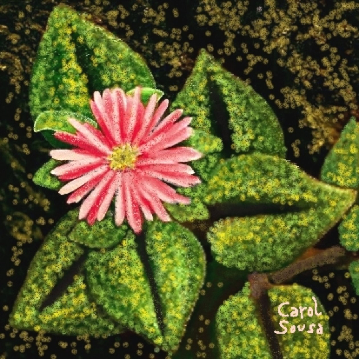 Flor silvestre de Carol Sousa Cuello