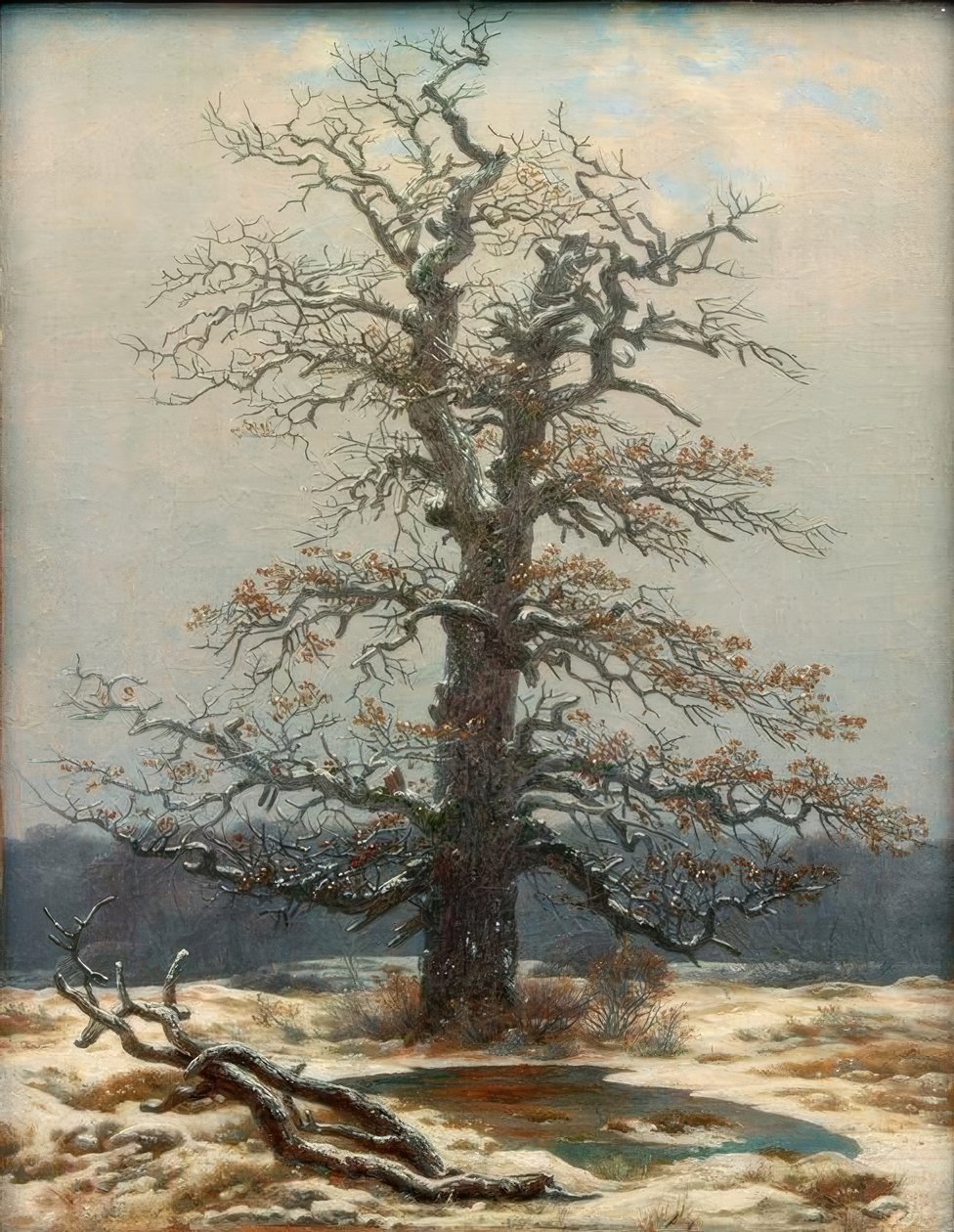 Carvalho na neve de Caspar David Friedrich