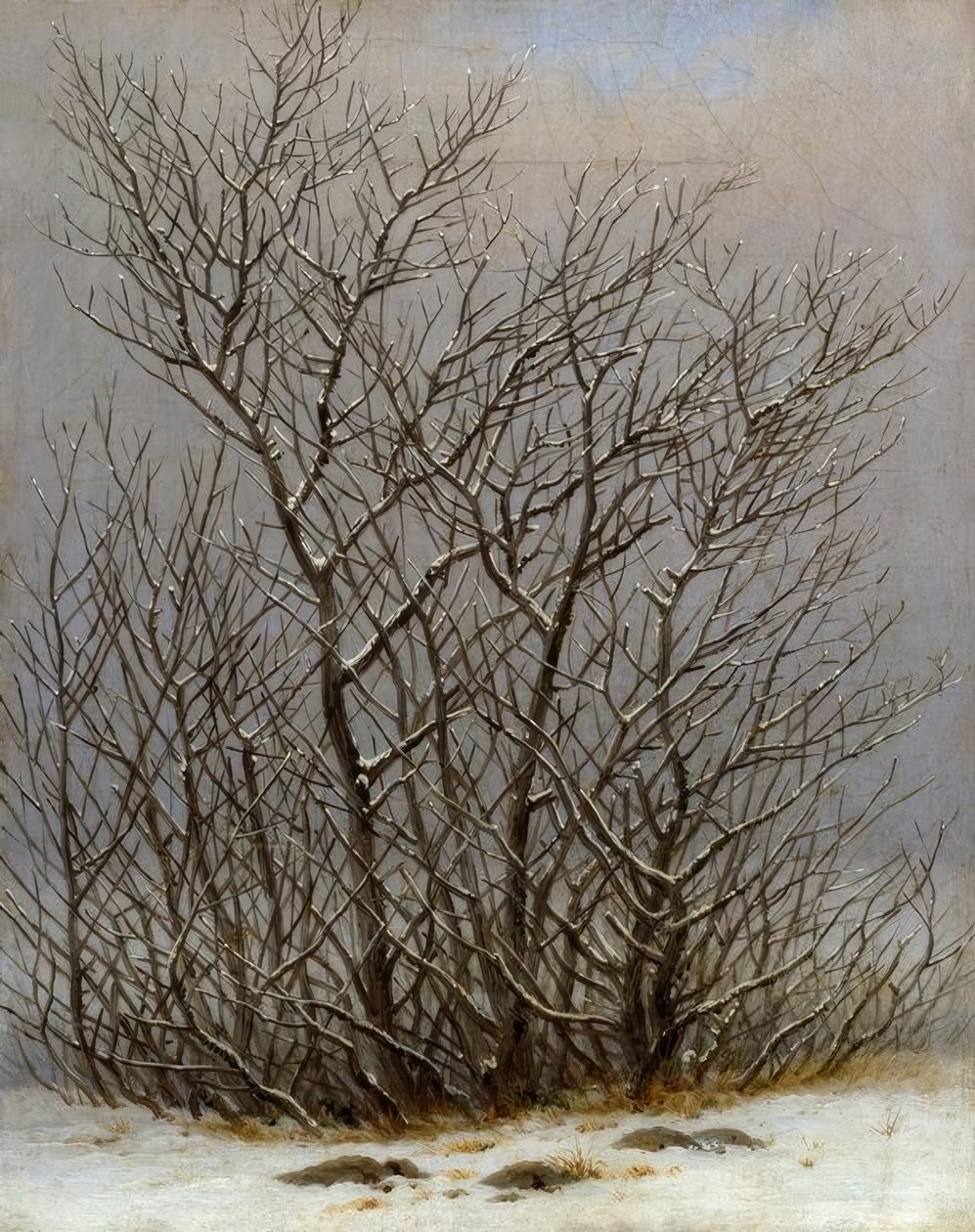 Arbustos na neve de Caspar David Friedrich