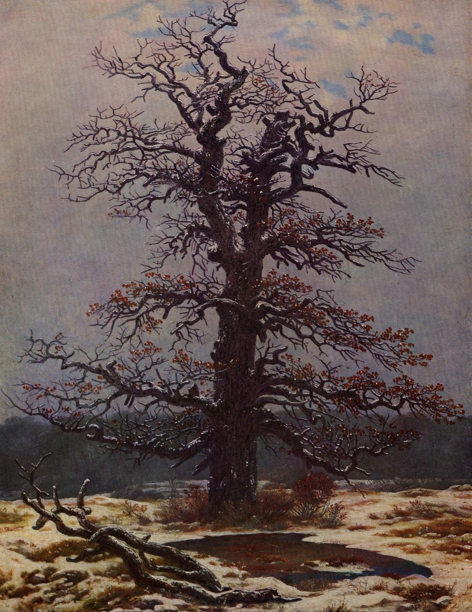 Carvalho na neve de Caspar David Friedrich