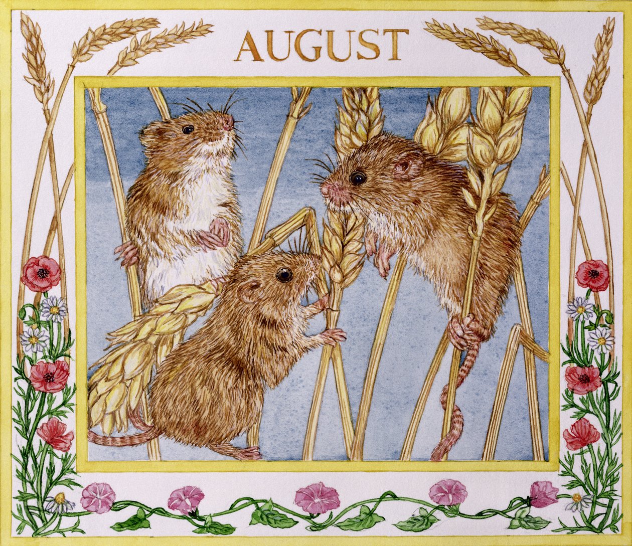 Agosto (wc no papel) de Catherine Bradbury