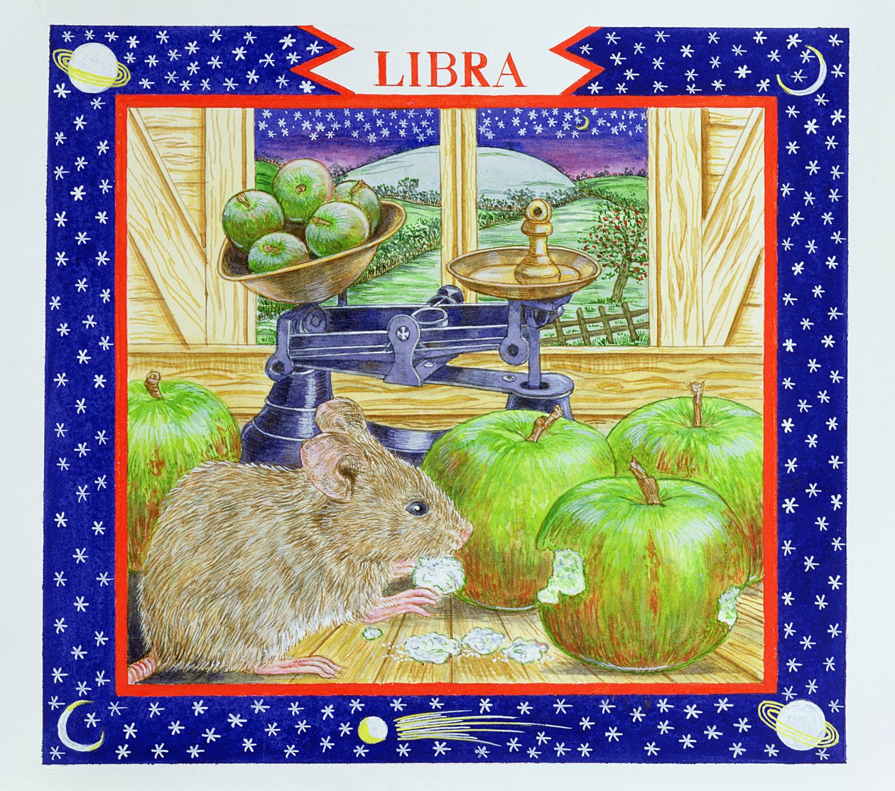 Libra (wc no papel) de Catherine Bradbury