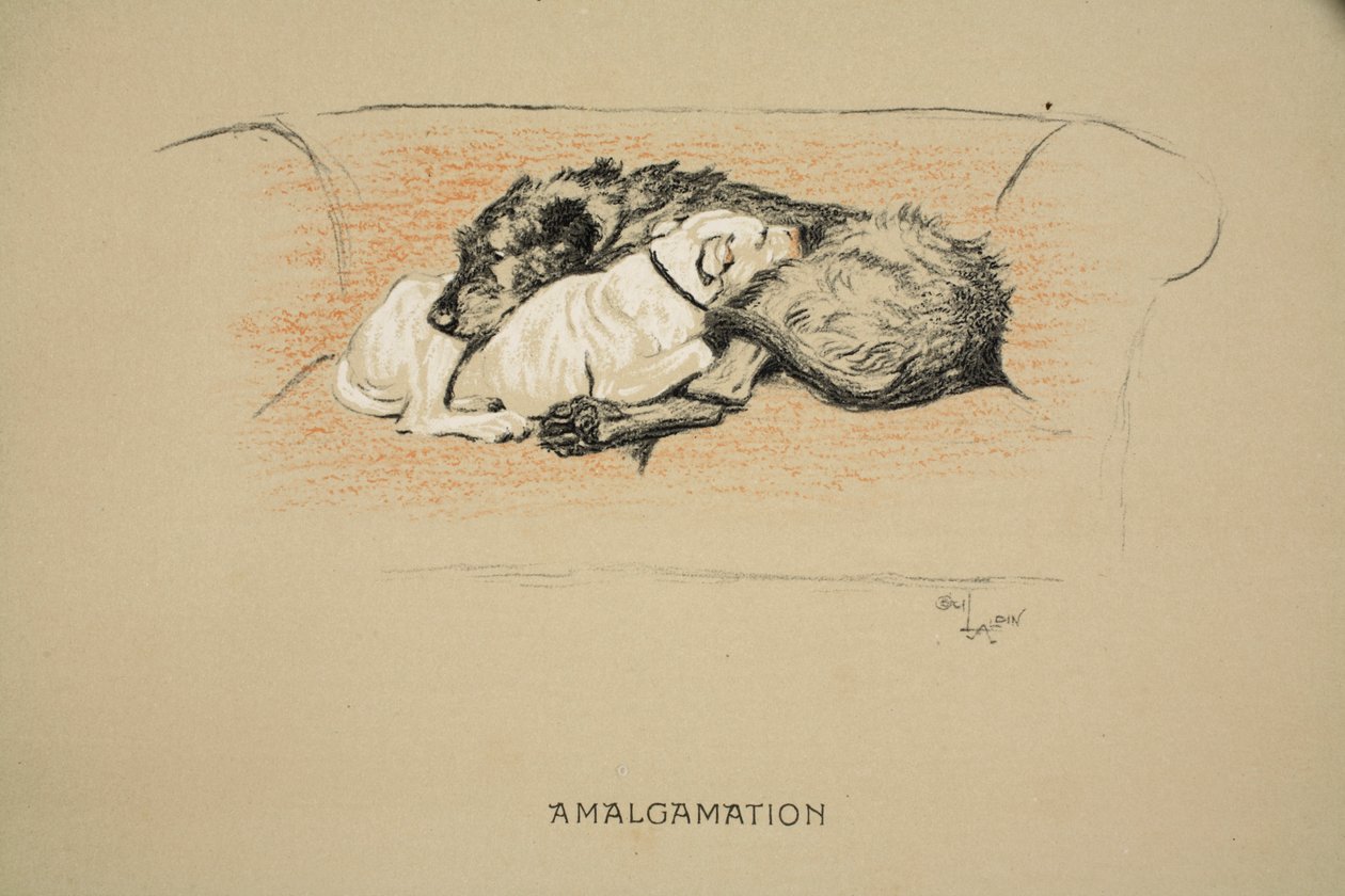 Amalgamação, 1930, 1ª edição de &39;Sleeping Partners&39;, Aldin, Cecil Charles Windsor (1870-1935), publicado pela Eyre e Spottiswoode Limited, Giz e Carvão no papel de Cecil Charles Windsor Aldin