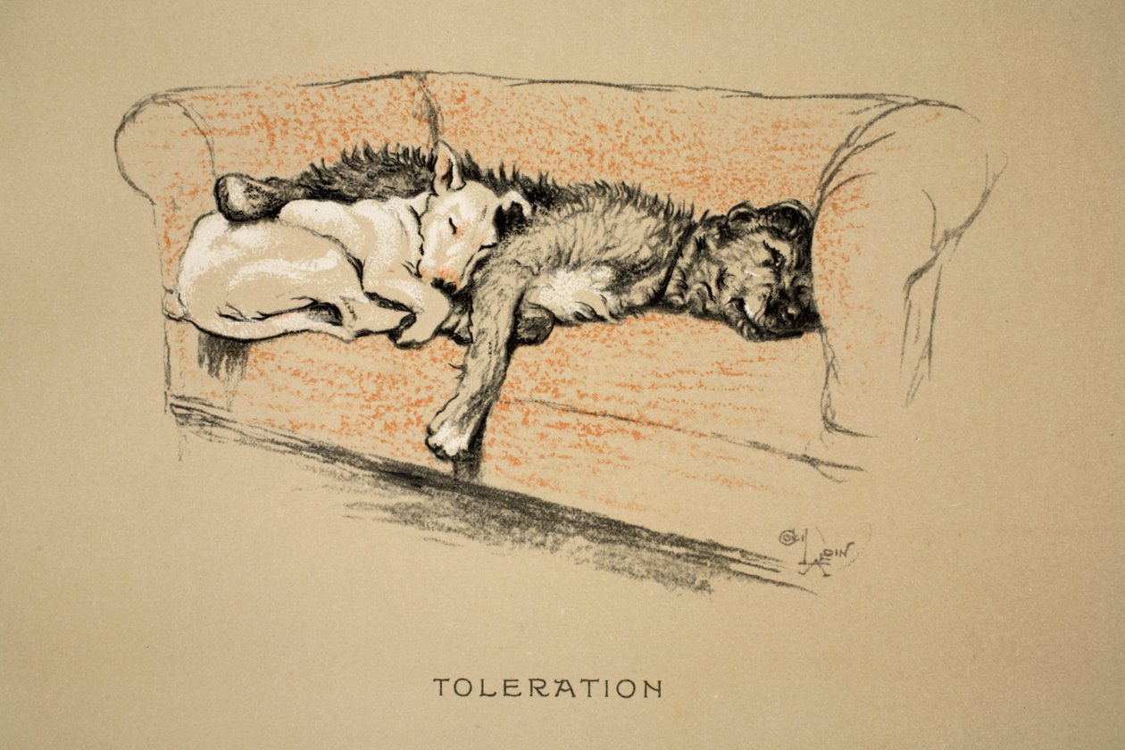 Toleration, 1930, 1ª Edição de &39;Sleeping Partners&39;, Aldin, Cecil Charles Windsor (1870-1935), publicado por Eyre e Spottiswoode Limited, Giz e Carvão sobre papel de Cecil Charles Windsor Aldin