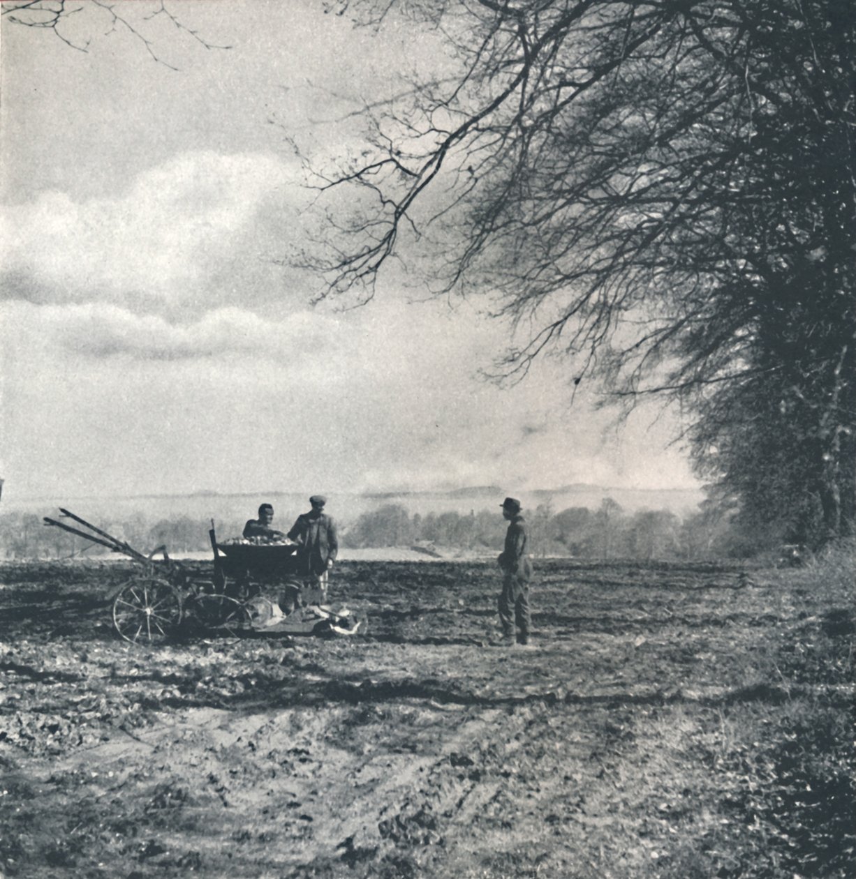 Longe de campo e sulco, 1941 de Cecil Beaton