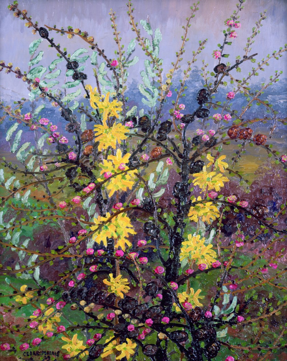 Arbustos (óleo sobre tela) de Cedric Morris