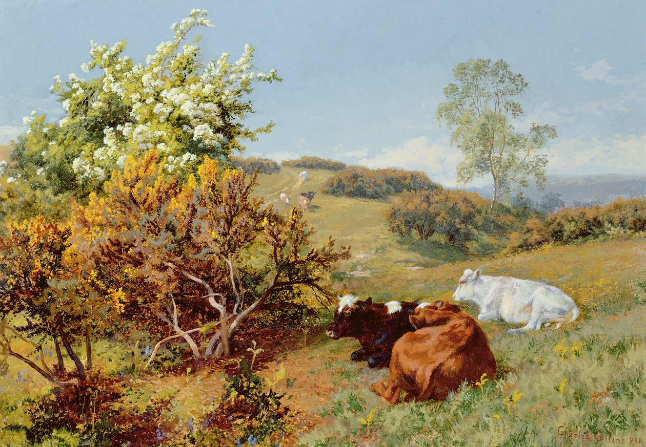 No Nower, Dorking de Charles Collins