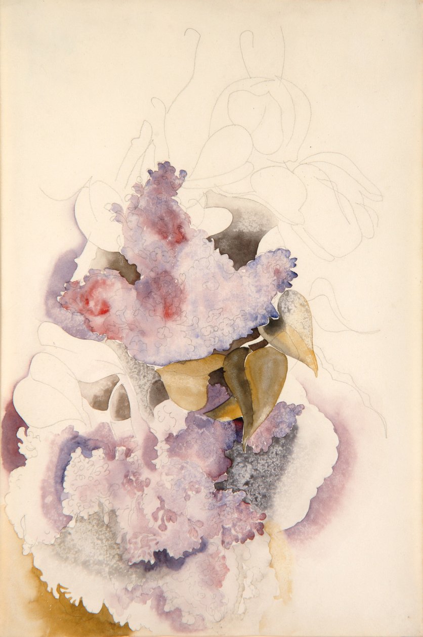 Lilacs, c.1917 de Charles Demuth