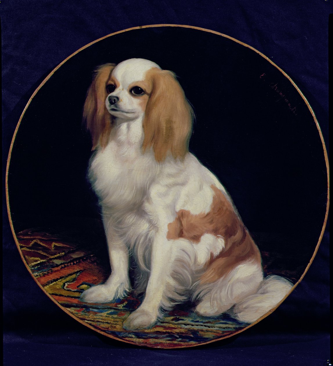 King Charles Spaniel de Charles Emile Callande de Champmartin