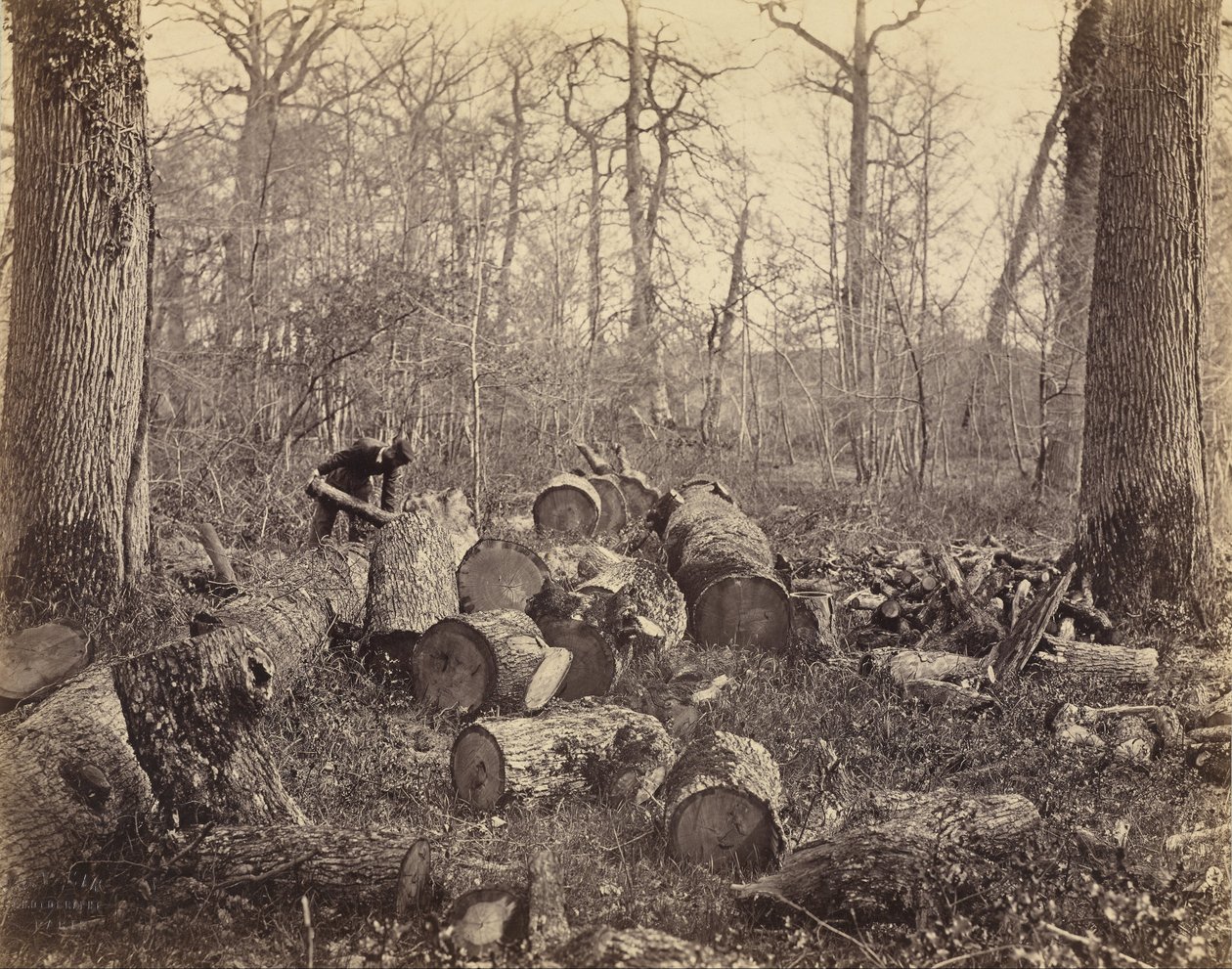 Floresta de Fontainebleau de Charles Famin