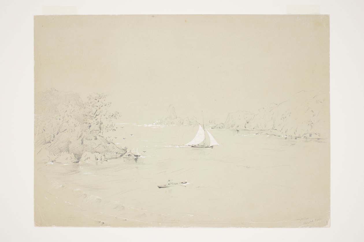 Wangaaihu Wangaroa Coast de Charles Heaphy