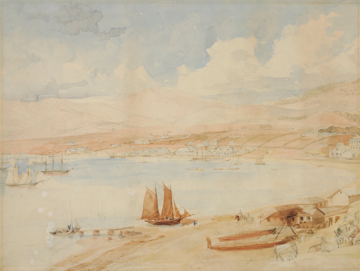Porto de Wellington, NZ de Charles Heaphy