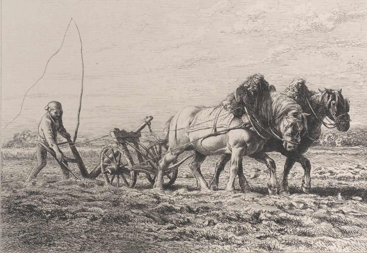 Arar, 1864. de Charles Emile Jacque