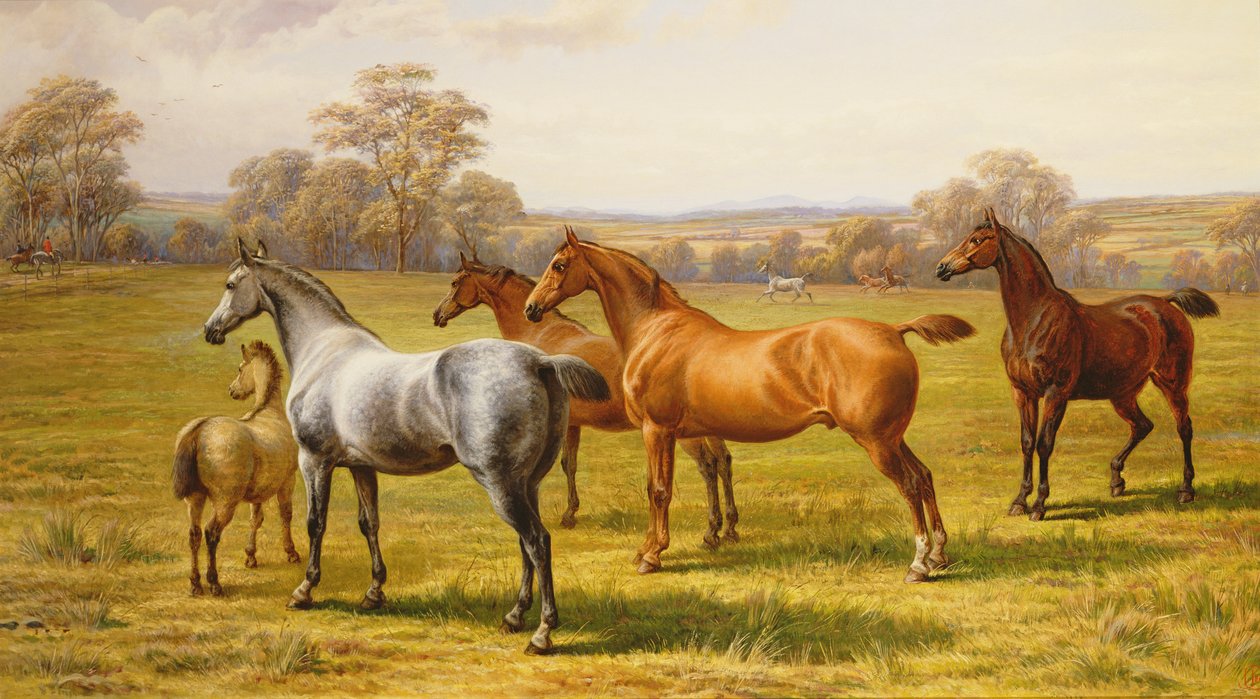 Cavalos e potro em um campo de Charles Jones