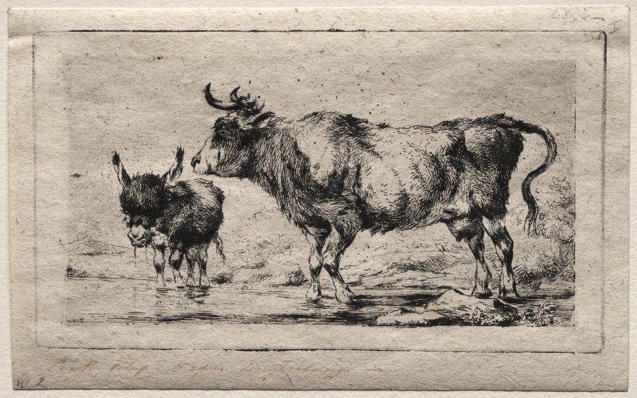 Vaca e burro de Charles Meryon