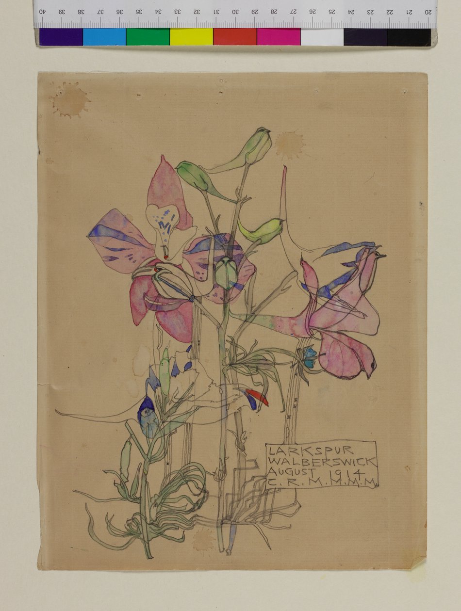 Larkspur, 1914 de Charles Rennie Mackintosh
