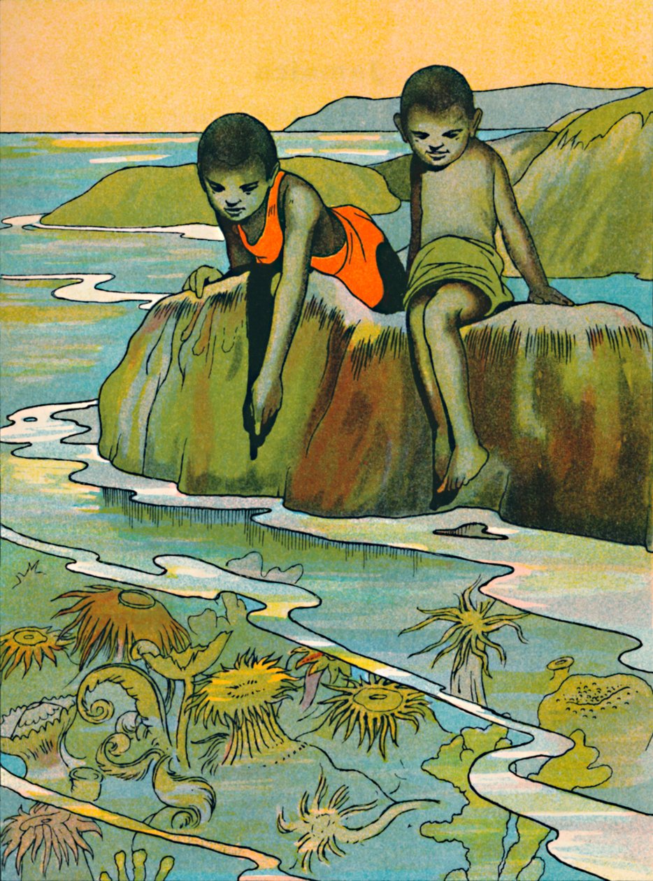 Um jardim no mar, 1912 de Charles Robinson