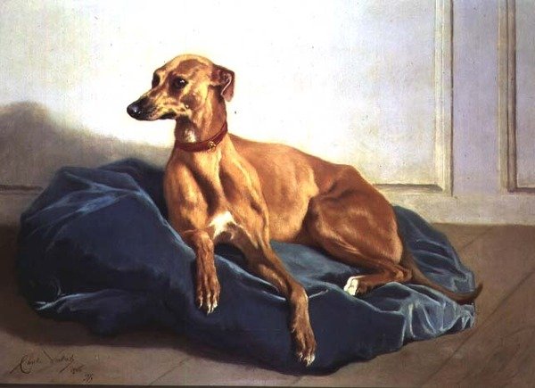 Estudo de um Cão de Caça de Charles Verlat