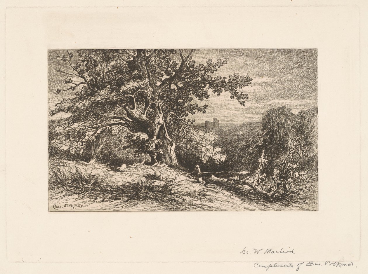 Paisagem com árvore caída de Charles Volkmar