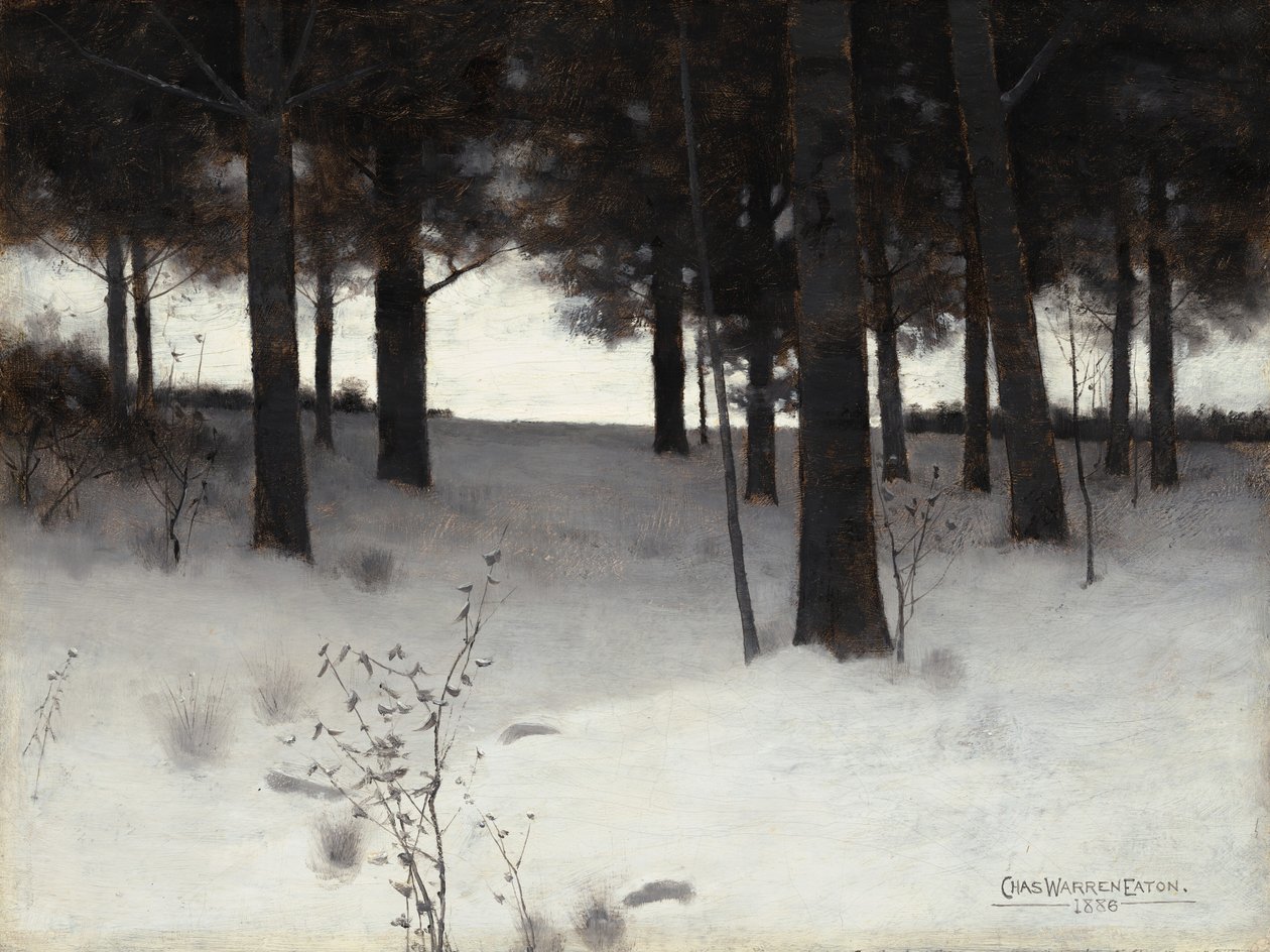 Bosques no inverno de Charles Warren Eaton