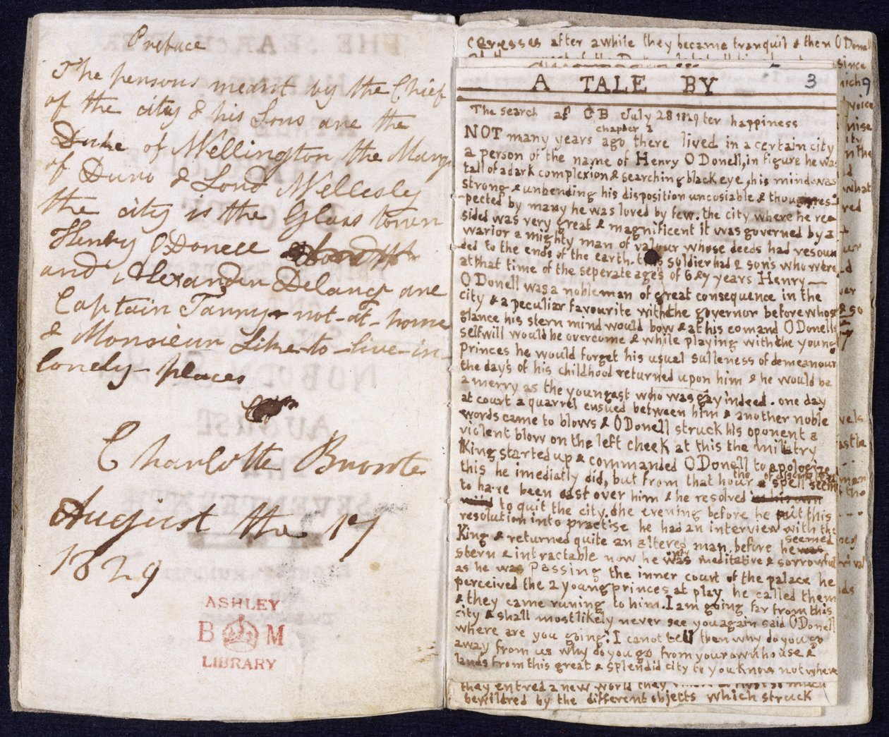 A procura da felicidade de Charlotte Bronte