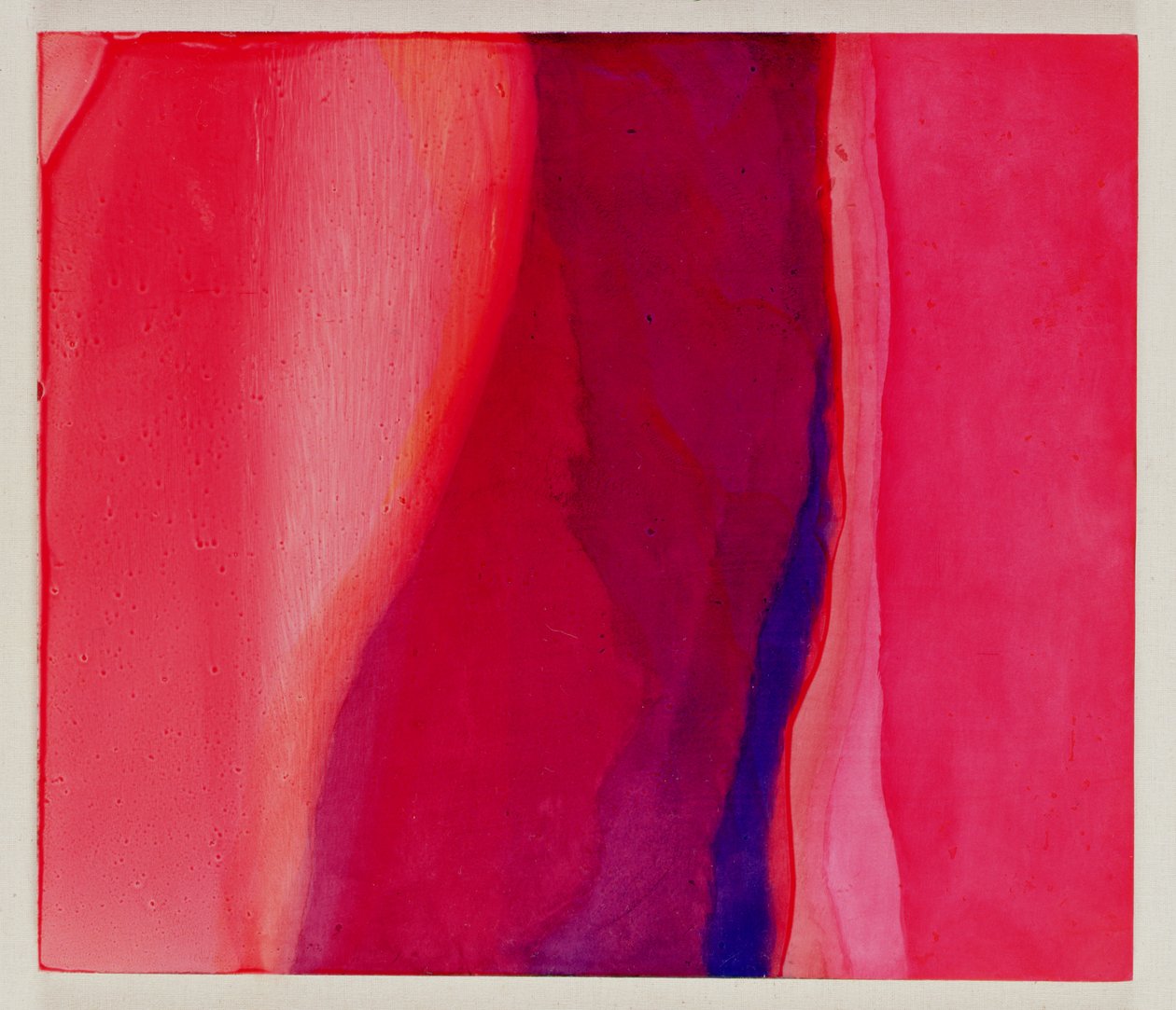 Sari Fish, 2000 (óleo no gesso) de Charlotte Johnstone