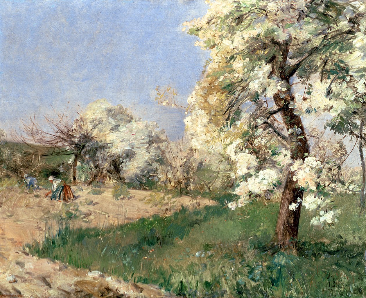 Flor de Pêra, Villiers-de-Bel (óleo sobre painel) de Childe Frederick Hassam