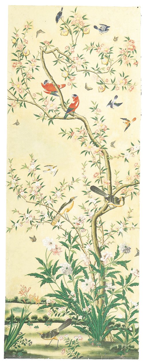 Imagem desconhecida de Chinese School