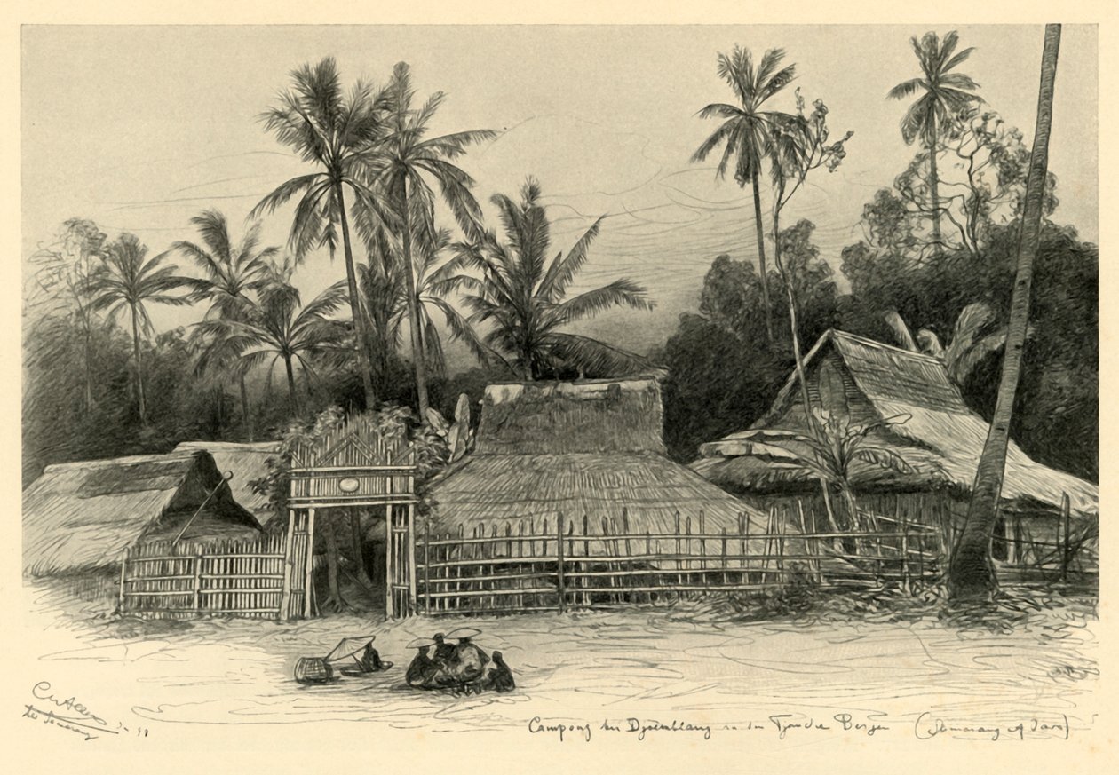 Floresta. de Christian Wilhelm Allers