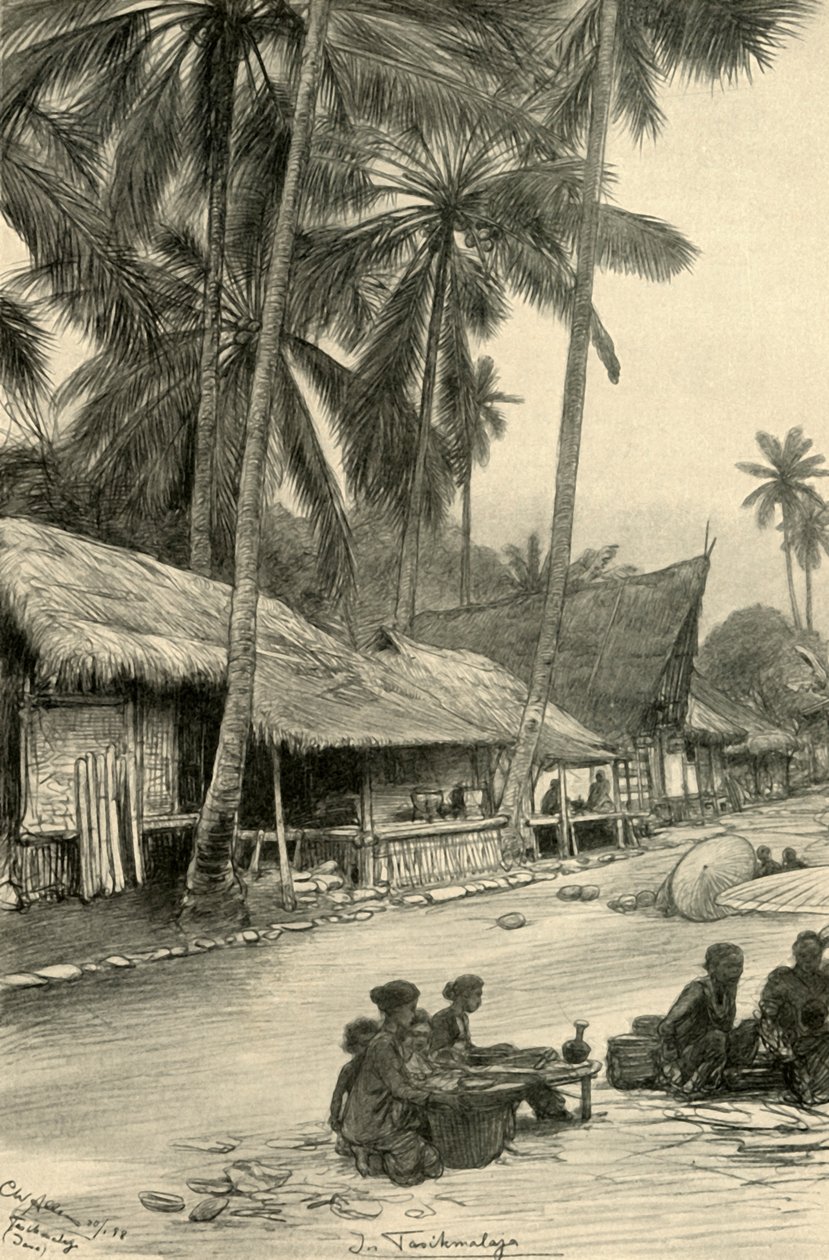 Floresta. de Christian Wilhelm Allers