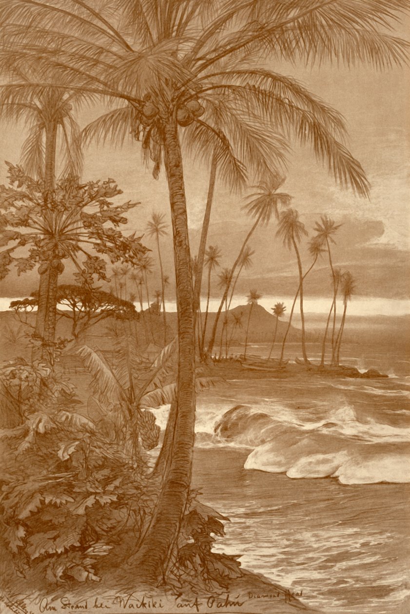 Floresta. de Christian Wilhelm Allers