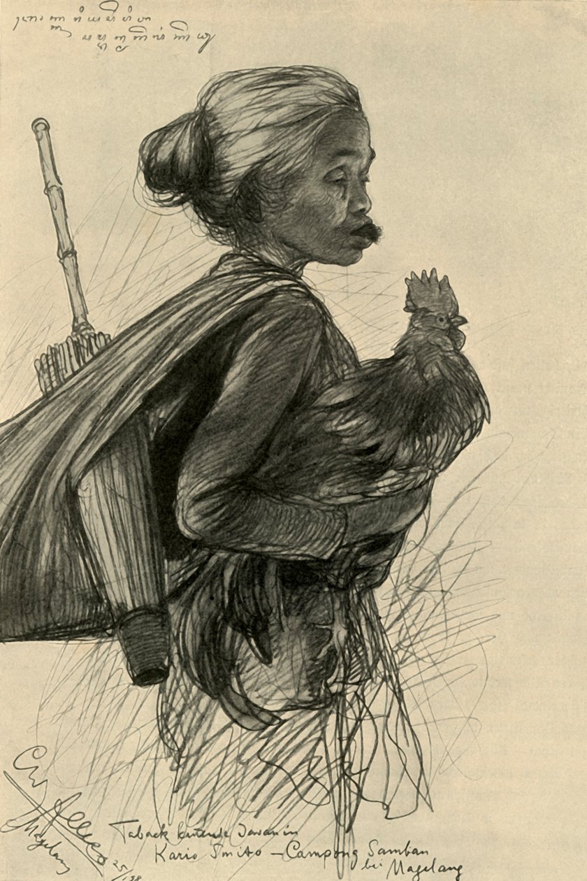 Floresta. de Christian Wilhelm Allers