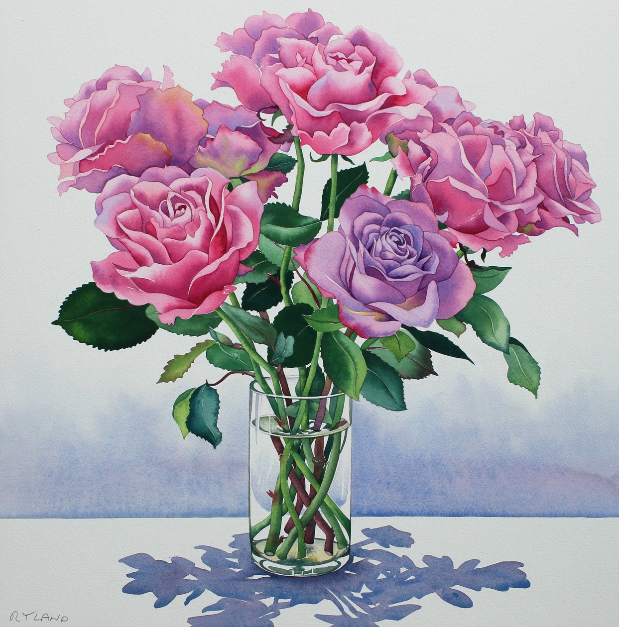 Rosas da Avalanche de Christopher Ryland