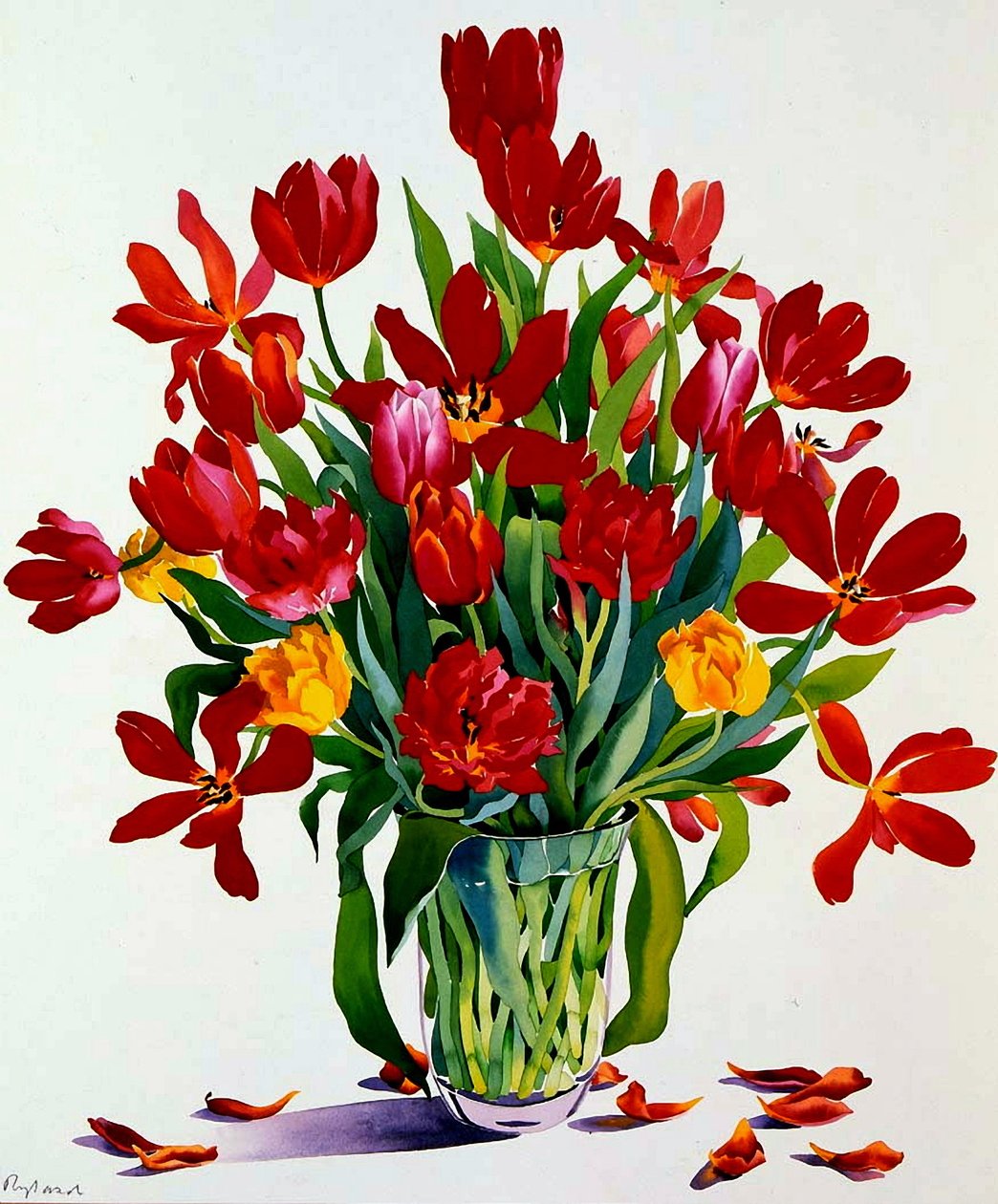 Tulipas (wc no papel) de Christopher Ryland