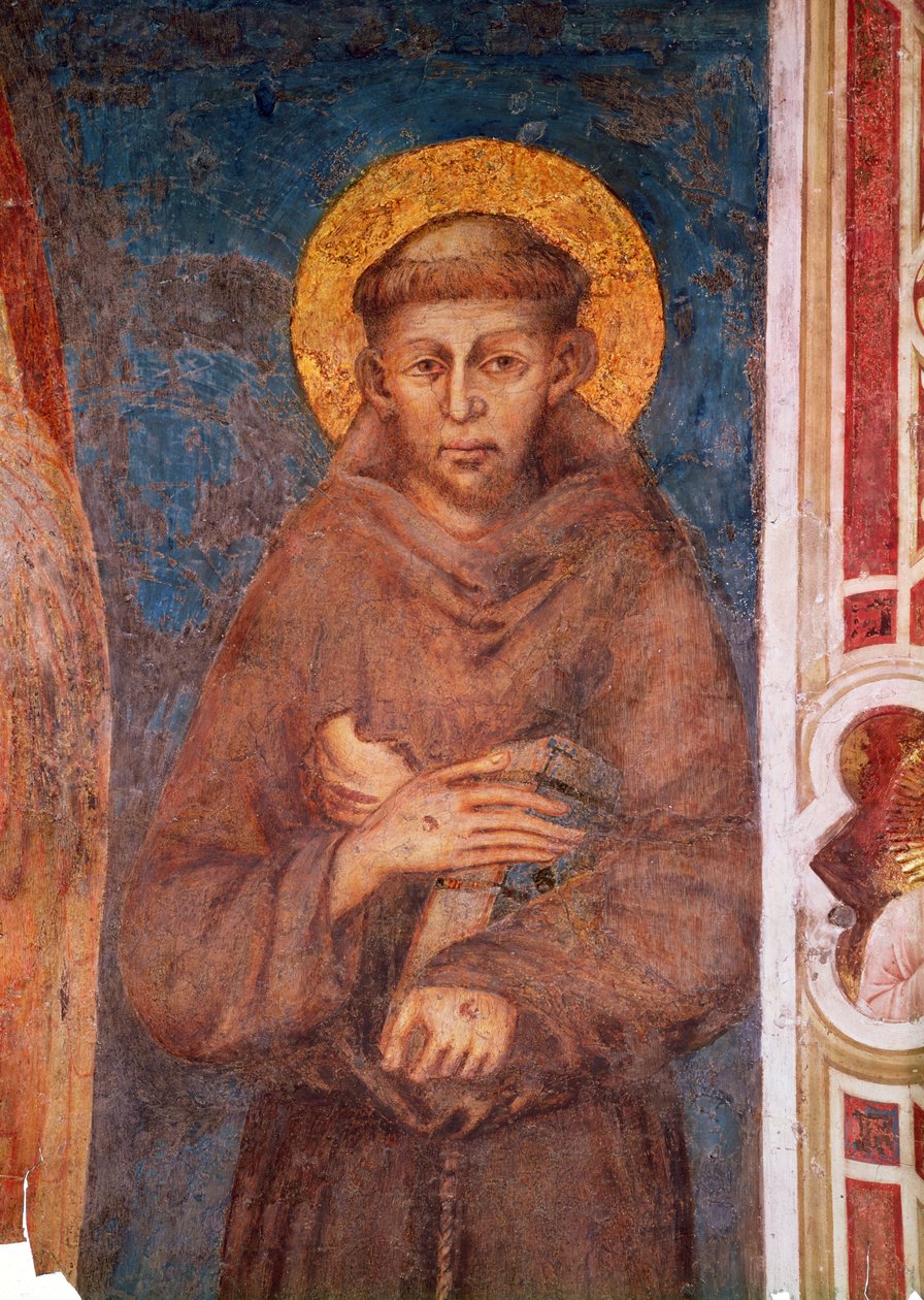 São Francisco (detalhe de 440729) de Giovanni Cimabue