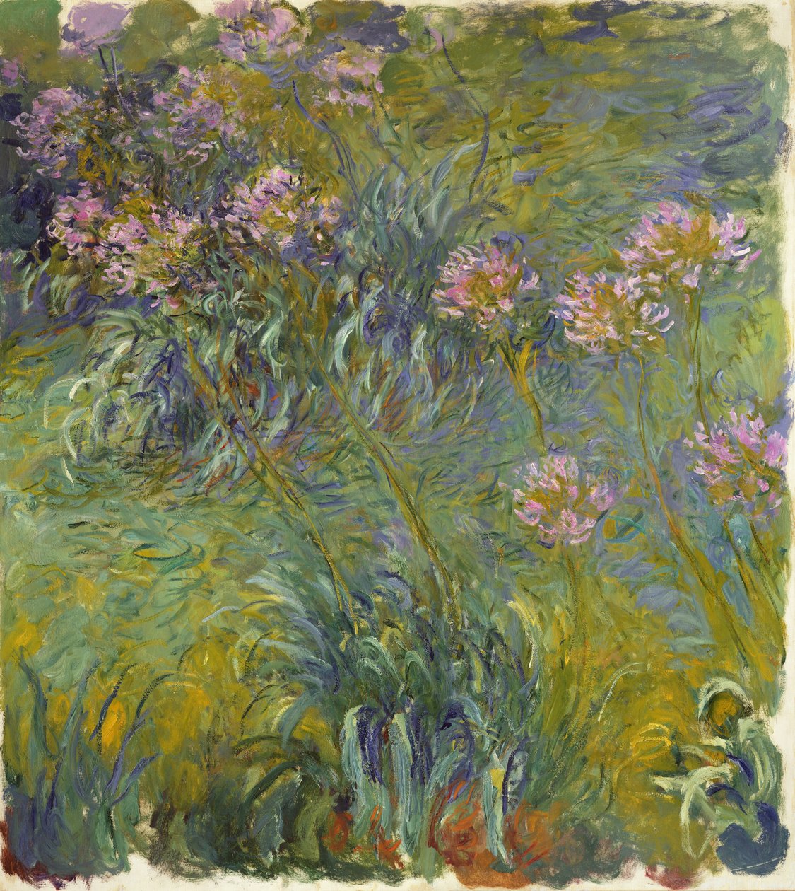 Agapanthus, 1914-26 de Claude Monet