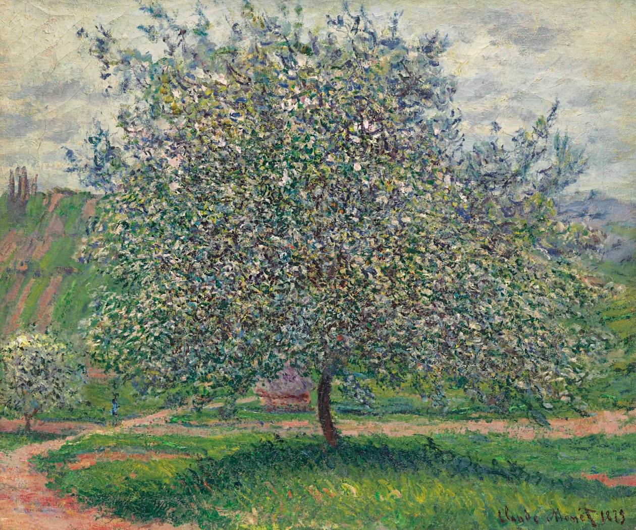 Macieira de Claude Monet