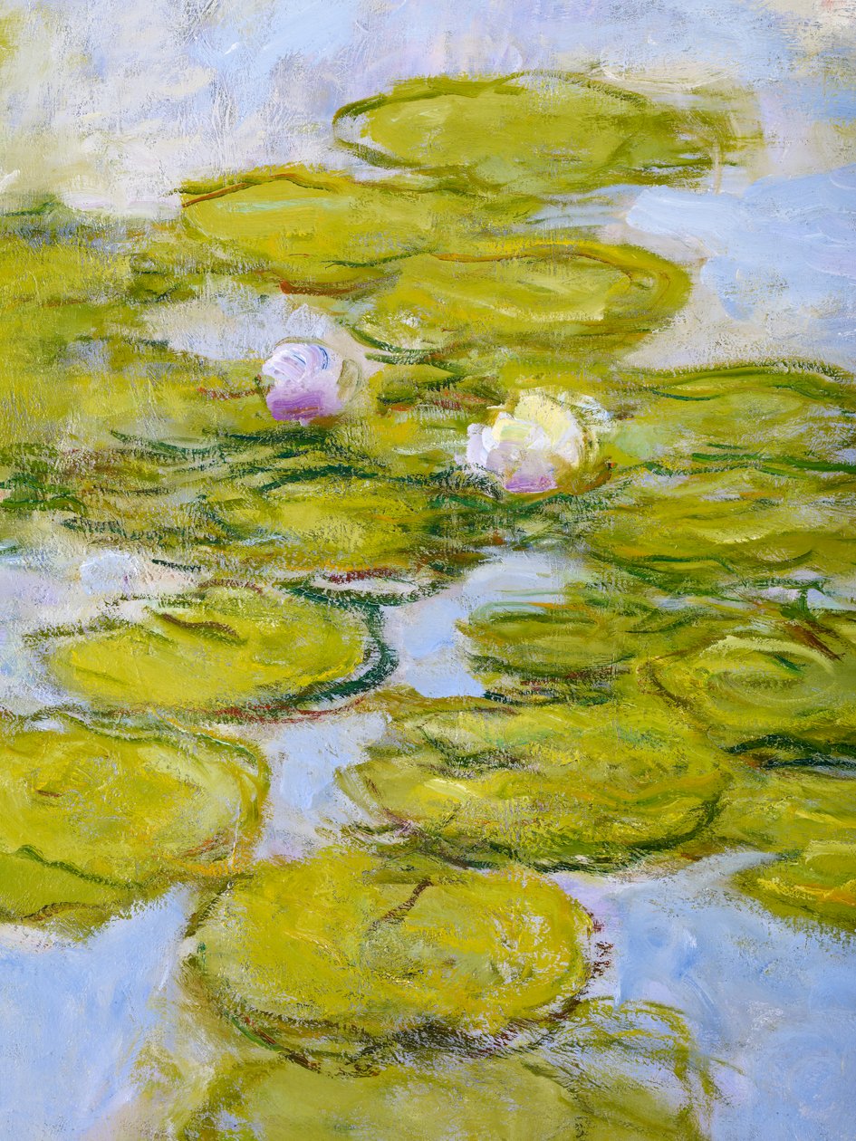 Nympheas, 1916-19 (detalhe de 377597) de Claude Monet