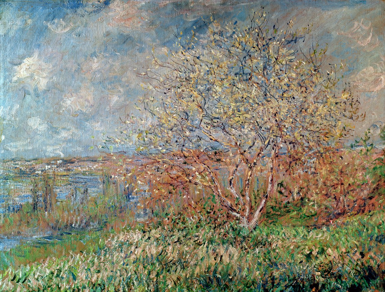 Primavera de 1880 a 1882 de Claude Monet