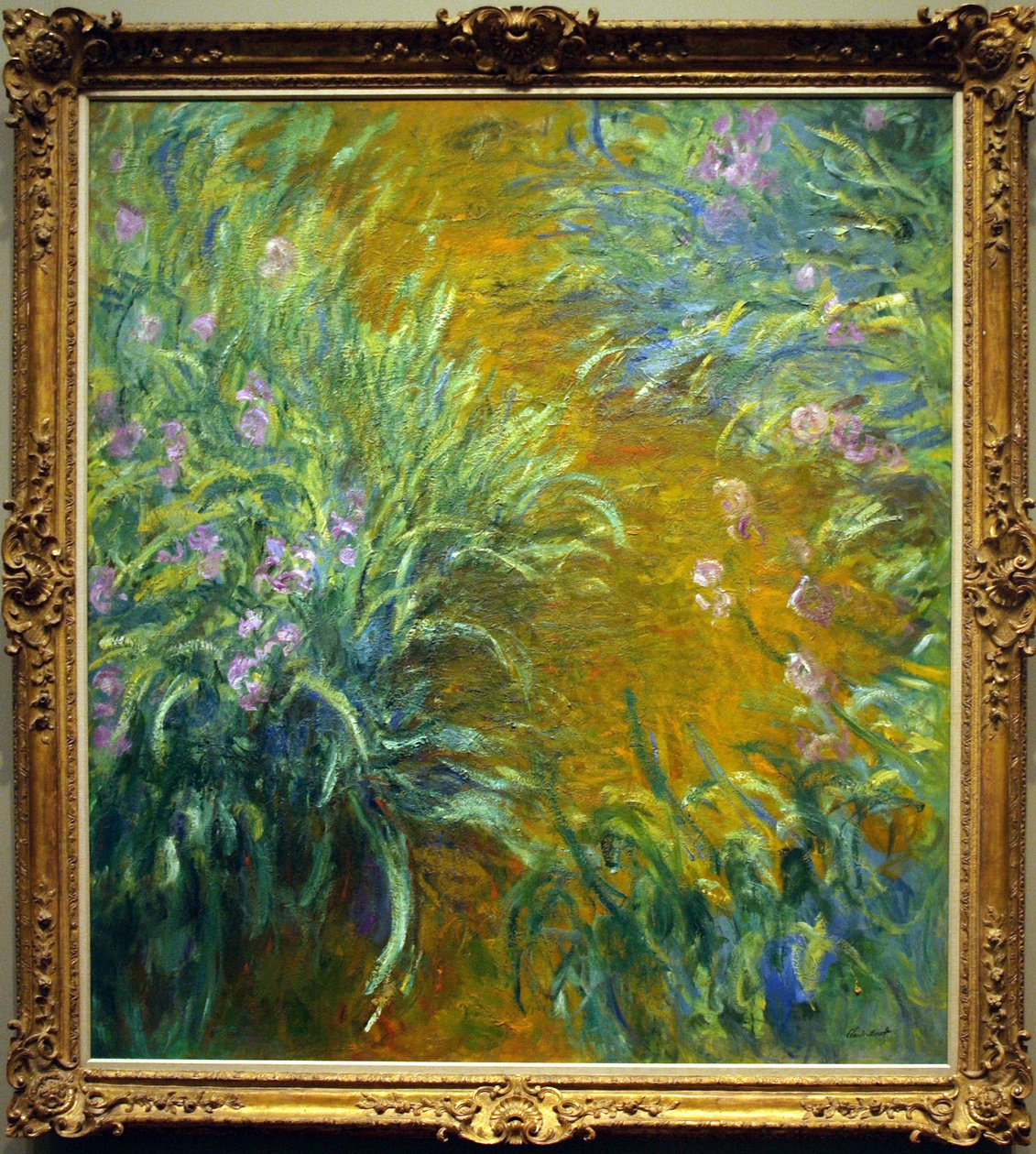 O caminho através das íris de Claude Monet