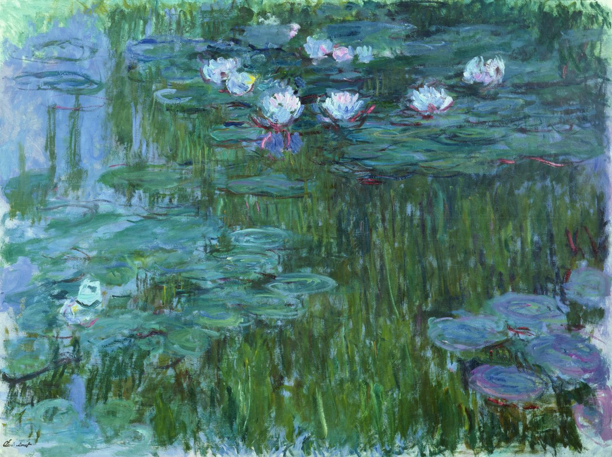 Nenúfares, 1914-17 (ver detalhe 158601) de Claude Monet