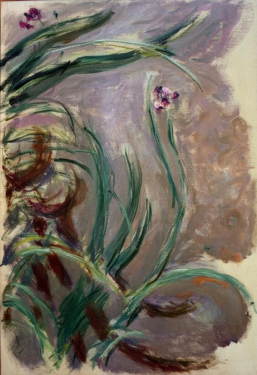 Íris (íris) de Claude Monet