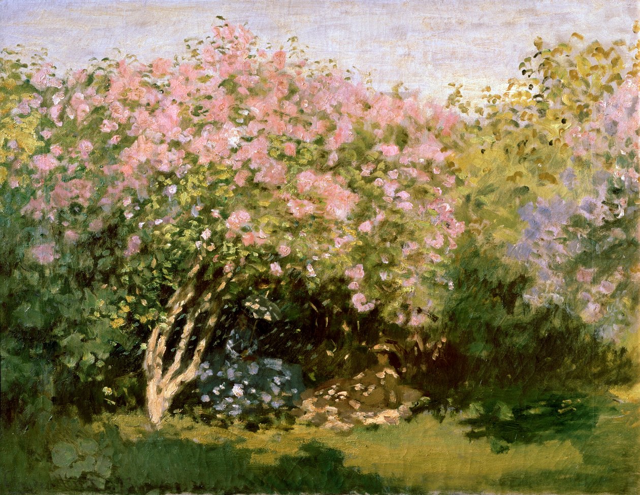 Lilás ao sol, 1872-1873. de Claude Monet